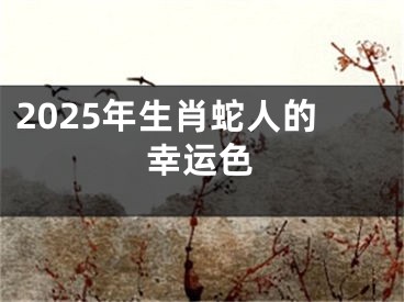 2025年生肖蛇人的幸运色