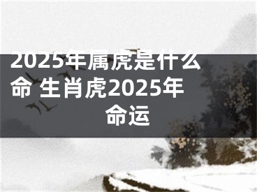 2025年属虎是什么命 生肖虎2025年命运
