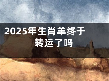 2025年生肖羊终于转运了吗