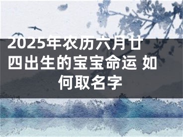 2025年农历六月廿四出生的宝宝命运 如何取名字