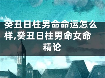 癸丑日柱男命命运怎么样,癸丑日柱男命女命精论