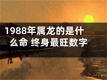 1988年属龙的是什么命 终身最旺数字