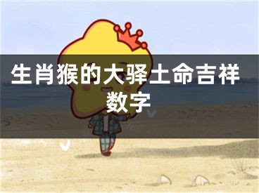 生肖猴的大驿土命吉祥数字