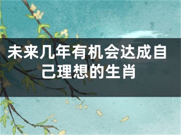 未来几年有机会达成自己理想的生肖