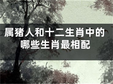 属猪人和十二生肖中的哪些生肖最相配