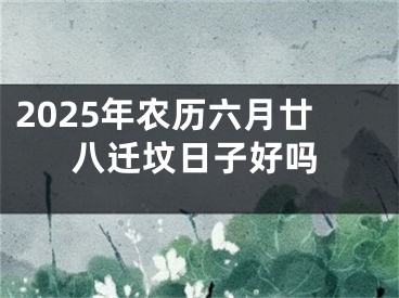 2025年农历六月廿八迁坟日子好吗
