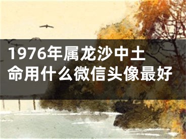 1976年属龙沙中土命用什么微信头像最好