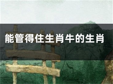 能管得住生肖牛的生肖