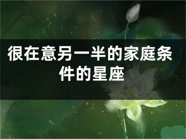 很在意另一半的家庭条件的星座