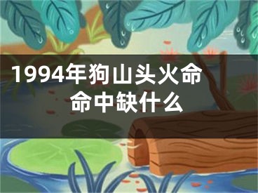 1994年狗山头火命命中缺什么