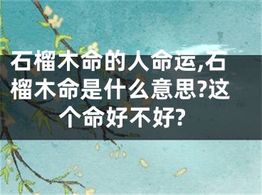 石榴木命的人命运,石榴木命是什么意思?这个命好不好?