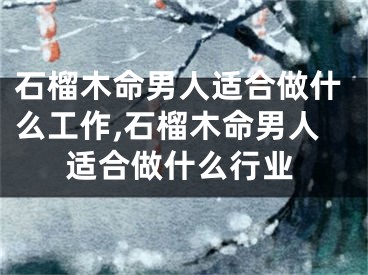 石榴木命男人适合做什么工作,石榴木命男人适合做什么行业