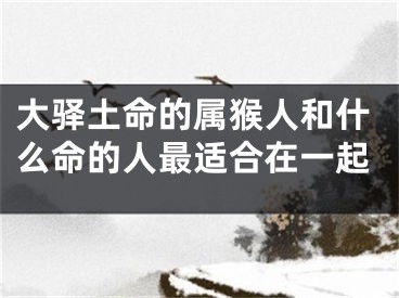 大驿土命的属猴人和什么命的人最适合在一起