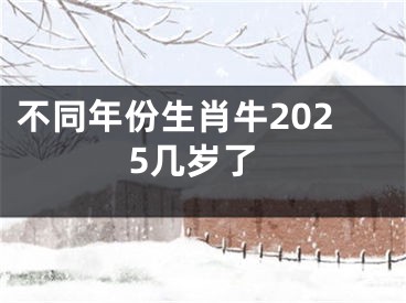 不同年份生肖牛2025几岁了