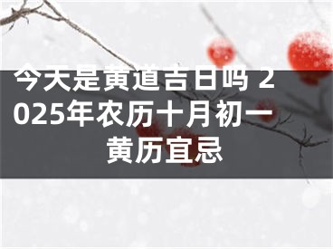 今天是黄道吉日吗 2025年农历十月初一黄历宜忌
