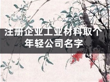 注册企业工业材料取个年轻公司名字