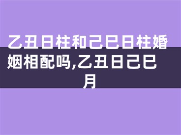 乙丑日柱和己巳日柱婚姻相配吗,乙丑日己巳月