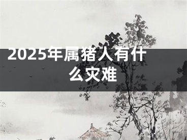 2025年属猪人有什么灾难