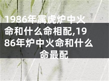 1986年属虎炉中火命和什么命相配,1986年炉中火命和什么命最配