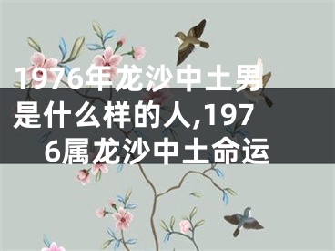 1976年龙沙中土男是什么样的人,1976属龙沙中土命运