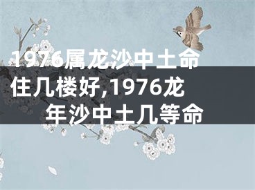1976属龙沙中土命住几楼好,1976龙年沙中土几等命