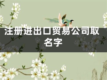 注册进出口贸易公司取名字