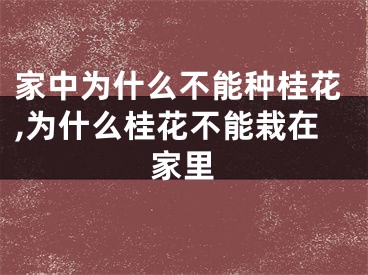 家中为什么不能种桂花,为什么桂花不能栽在家里