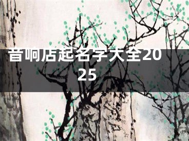 音响店起名字大全2025