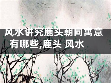 风水讲究鹿头朝向寓意有哪些,鹿头 风水