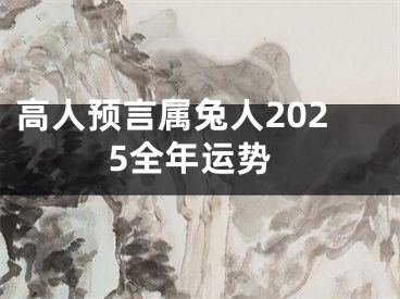 高人预言属兔人2025全年运势