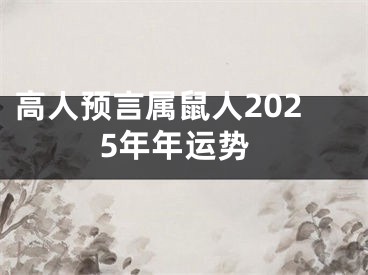 高人预言属鼠人2025年年运势