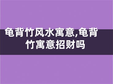 龟背竹风水寓意,龟背竹寓意招财吗