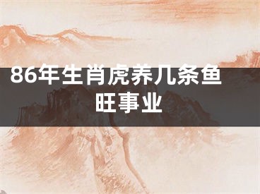 86年生肖虎养几条鱼旺事业