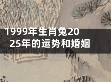 1999年生肖兔2025年的运势和婚姻