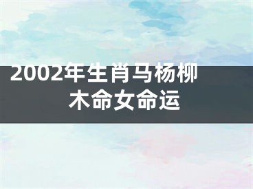 2002年生肖马杨柳木命女命运