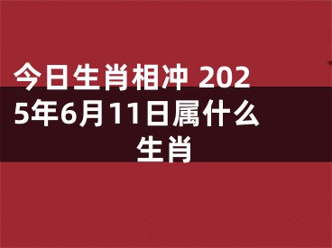今日生肖相冲 2025年6月11日属什么生肖