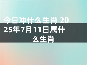 今日冲什么生肖 2025年7月11日属什么生肖