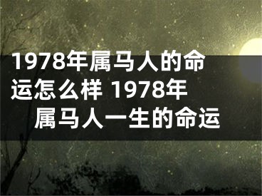 1978年属马人的命运怎么样 1978年属马人一生的命运