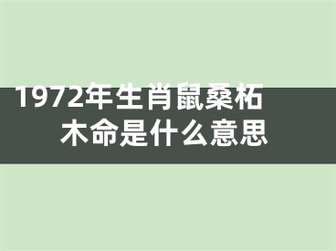 1972年生肖鼠桑柘木命是什么意思