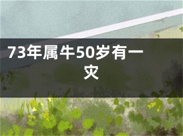 73年属牛50岁有一灾