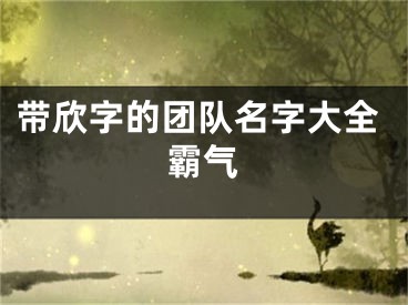 带欣字的团队名字大全霸气