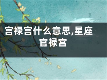 宫禄宫什么意思,星座官禄宫