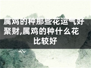 属鸡的种那些花运气好聚财,属鸡的种什么花比较好