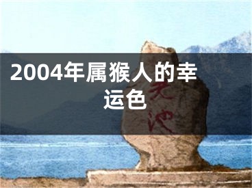 2004年属猴人的幸运色