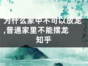 为什么家中不可以放龙,普通家里不能摆龙 知乎