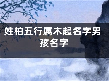 姓柏五行属木起名字男孩名字