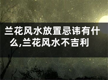 兰花风水放置忌讳有什么,兰花风水不吉利