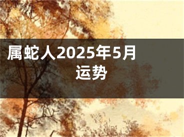 属蛇人2025年5月运势