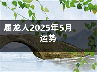属龙人2025年5月运势