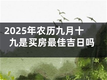 2025年农历九月十九是买房最佳吉日吗